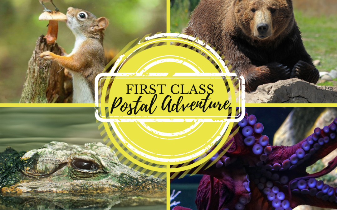 Imagine and Play Storytime: First Class,A Postal Adventure