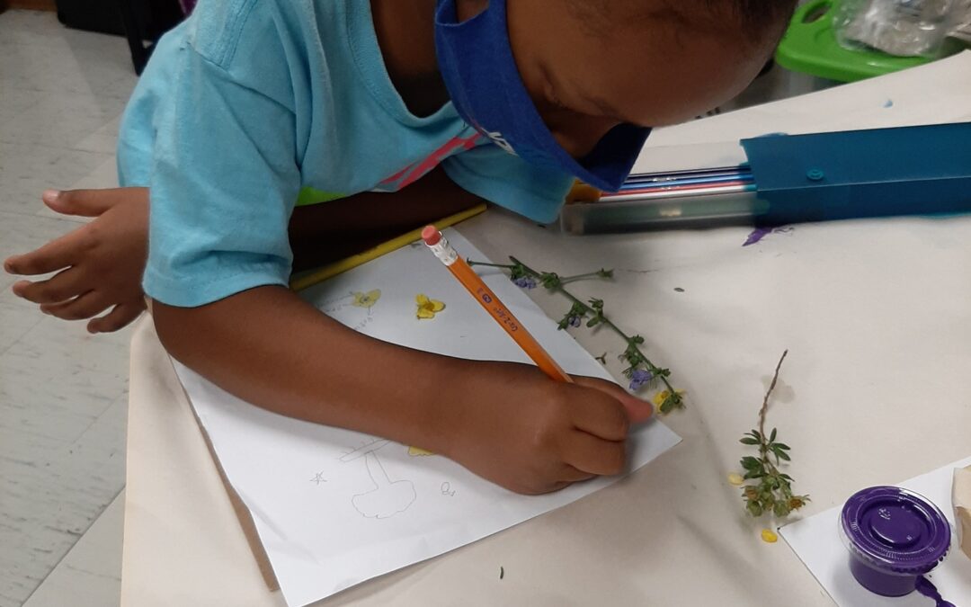 Botanical Art at Cylburn Arboretum