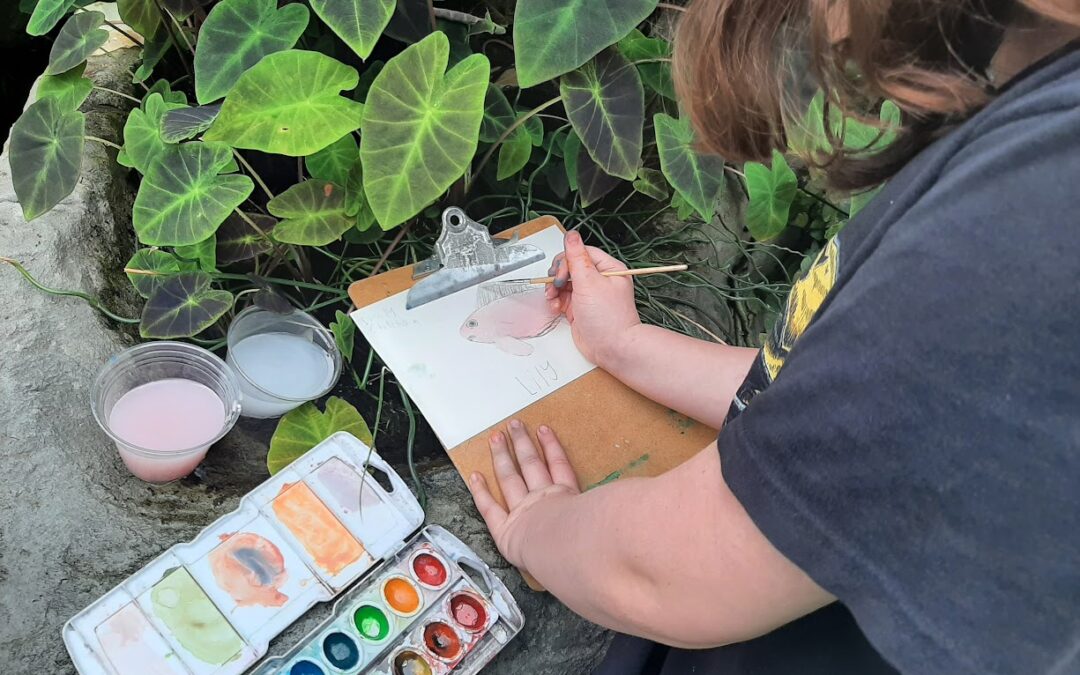 Teacher Training/Professional Development: Rawlings Conservatory in Druid Park