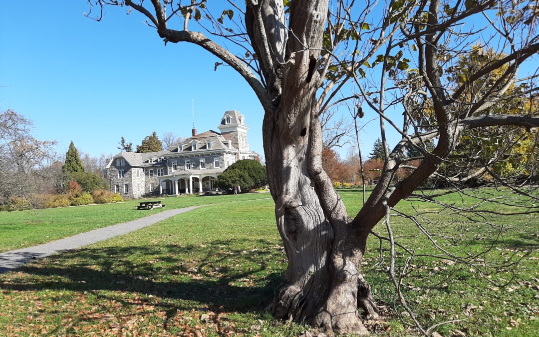 Professional Development/Teacher Training: Botanical Art at Cylburn Arboretum