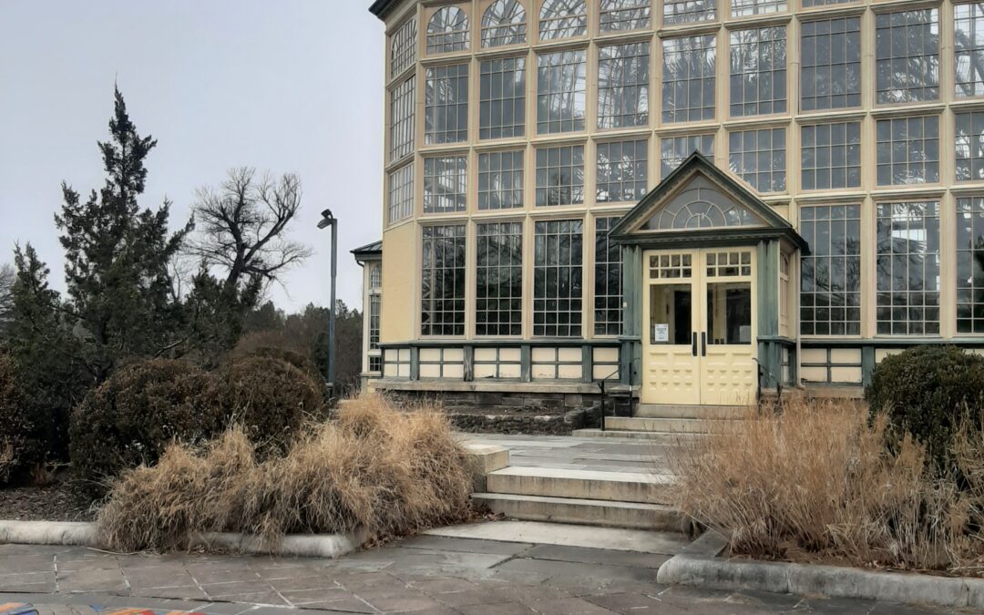 Teacher Training/Professional Development: Rawlings Conservatory in Druid Park